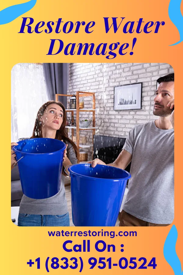 water restoration New Cleanup & Sons Whitingham